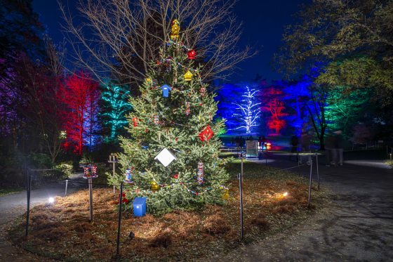 A decorated Christmas tree lit up at night in an outdoor setting.